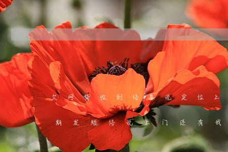 欠网贷收到信息说定位上门来找我-网贷逾期发短信说上门还有我家地址