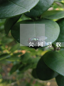 欠网贷收到庆阳仲裁委(网贷欠款起诉)
