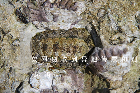 欠网贷收到异地传票和判决书(欠网贷被异地起诉)