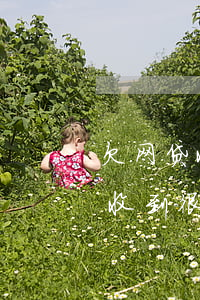 欠网贷收到很多验证码短信怎么办-欠网贷收到很多验证码短信怎么办呢