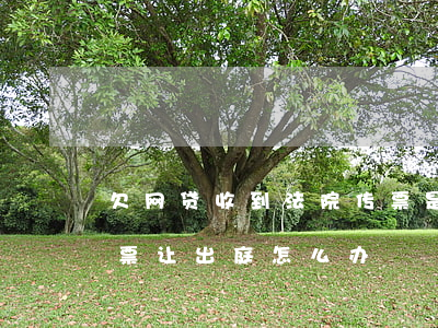 欠网贷收到法院传票是真的吗(欠网贷收到传票让出庭怎么办)