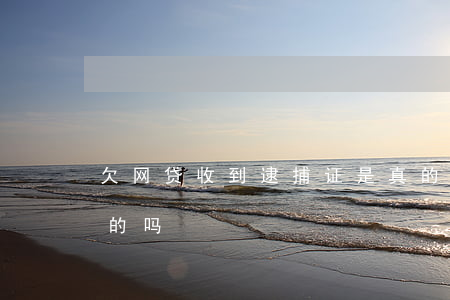 欠网贷收到逮捕证是真的吗(有欠网贷被拘留的吗)