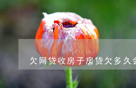 欠网贷收房子(房贷欠多久会被收房)
