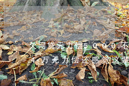 欠网贷无力偿5000不还会怎样(欠网贷14万无力偿还感觉这辈子完蛋了)