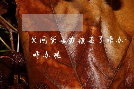 欠网贷无力偿还了咋办-欠网贷无力偿还了咋办呢
