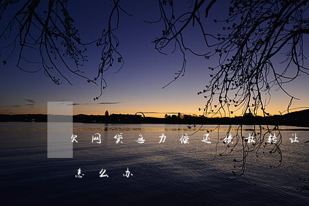 欠网贷无力偿还债权转让(网贷欠款无力偿还怎么办)