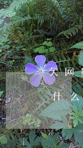 欠网贷无力偿还判刑案例(欠网贷无力偿还有什么后果)