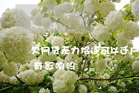 欠网贷无力偿还可以迁户口吗(欠网贷迁户口有影响吗)