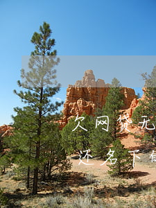 欠网贷无力偿还名下有车有房(欠网贷无力偿还名下的房子咋办)