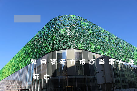 欠网贷无力偿还当事人去世(网贷欠款人意外死亡)