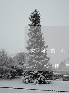 欠网贷无力偿还怎么办 怎样求助-欠网贷无力偿还怎么办 怎样求助律师