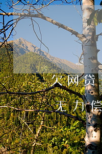 欠网贷无力偿还最终会是怎样结局-欠网贷无力偿还最终会是怎样结局呢