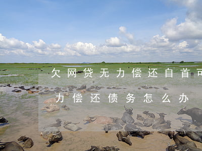 欠网贷无力偿还自首可以吗(网贷欠款人无能力偿还债务怎么办)
