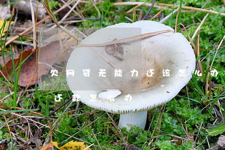欠网贷无能力还该怎么办(欠网贷暂时没能力还款怎么办)