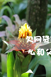 欠网贷是先和父母说还是老公说(欠了网贷怎么和父母说)