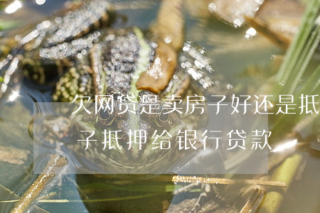 欠网贷是卖房子好还是抵押房子(欠网贷把房子抵押给银行贷款)