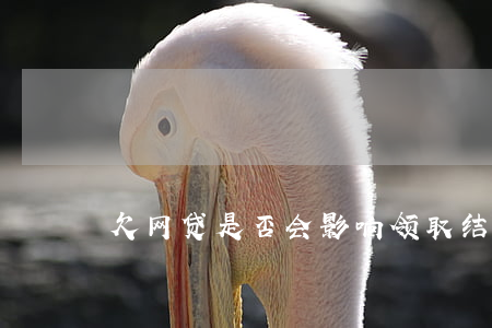 欠网贷是否会影响领取结婚证？