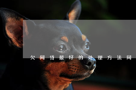 欠网贷最好的处理方法(网贷欠款怎么办)