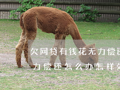 欠网贷有钱花无力偿还怎么处理(欠下网贷无力偿还怎么办怎样处理)