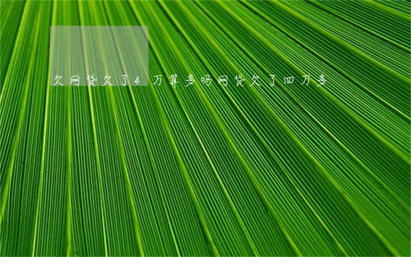 欠网贷欠了4万算多吗(网贷欠了四万多)