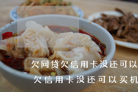 欠网贷欠信用卡没还可以买机票吗-欠网贷欠信用卡没还可以买机票吗安全吗