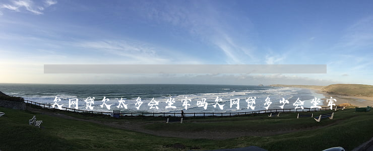 欠网贷欠太多会坐牢吗(欠网贷多少会坐牢)