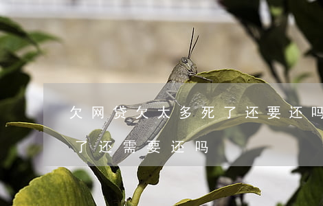 欠网贷欠太多死了还要还吗(欠网贷如果人死了还需要还吗?)