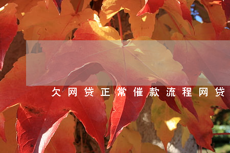 欠网贷正常催款流程(网贷催收起诉流程)