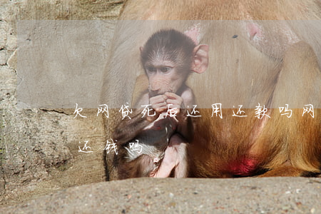 欠网贷死后还用还款吗(网贷欠债人死了还用还钱吗)
