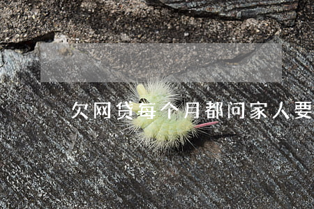 欠网贷每个月都问家人要