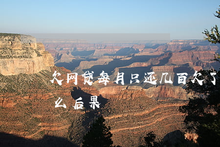 欠网贷每月只还几百(欠了几千网贷没还有什么后果)