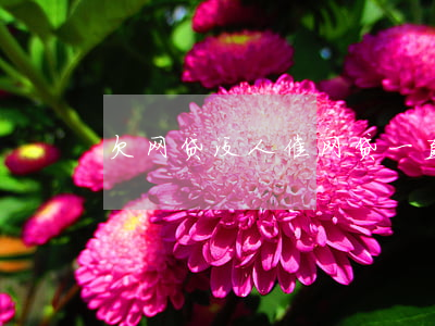 欠网贷没人催(网贷一直催收)