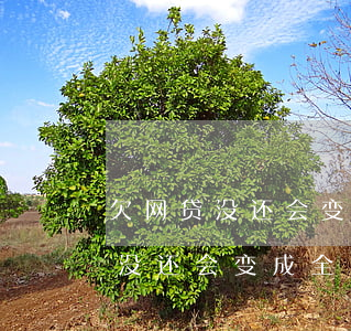 欠网贷没还会变成全国失信人员吗-欠网贷没还会变成全国失信人员吗知乎