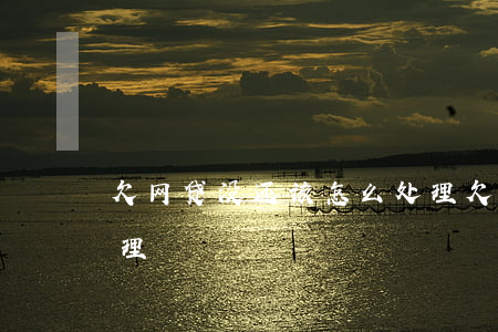 欠网贷没还该怎么处理(欠网贷没还该怎么处理)