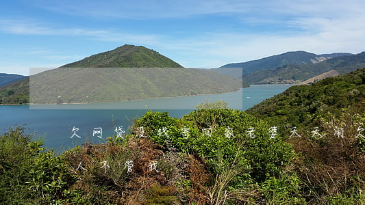 欠网贷没钱寄回家老婆天天闹(欠了网贷家里人不管我)
