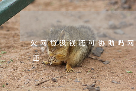 欠网贷没钱还可协助吗(网贷欠钱太多无力偿还)