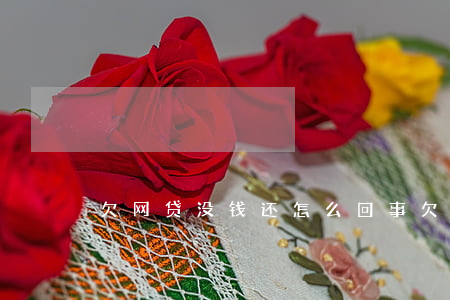 欠网贷没钱还怎么回事(欠了网贷没还)