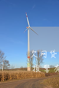 欠网贷没钱还能报警帮助吗(欠网贷无力偿还报警有用吗)