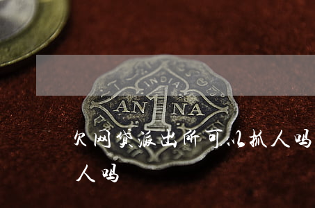欠网贷派出所可以抓人吗(欠网贷公安局会抓人吗)