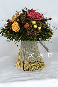 欠网贷父母被气死(父母欠网贷整天骚扰我)