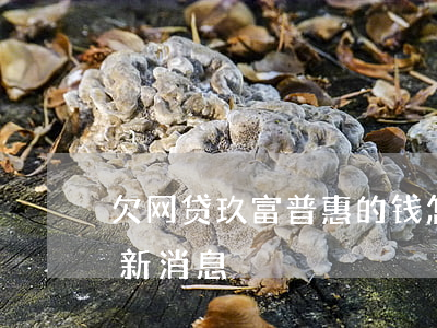 欠网贷玖富普惠的钱怎么办(玖富普惠网贷最新消息)