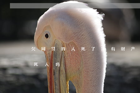 欠网贷的人死了没有财产(网贷欠款还不起会死人吗?)