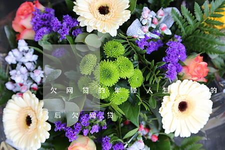 欠网贷的年轻人怎么想的(为什么那么多90后欠网贷)