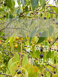 欠网贷的日子怎么熬过来(欠网贷的日子怎么熬过来)