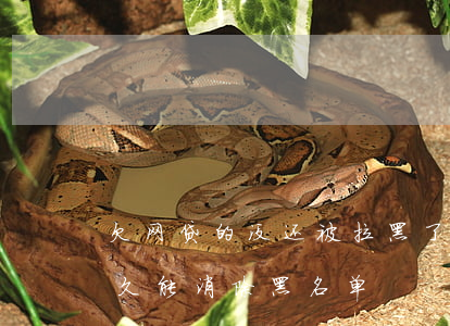 欠网贷的没还被拉黑了怎么办(欠网贷还上多久能消除黑名单)