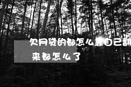 欠网贷的都怎么靠自己翻身的(欠网贷的人后来都怎么了)
