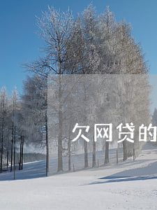 欠网贷的钱不还(欠网贷的钱不还会坐牢吗)
