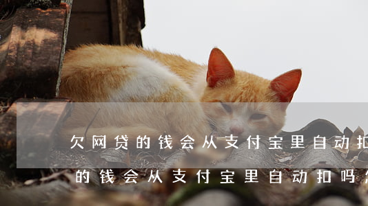 欠网贷的钱会从支付宝里自动扣吗-欠网贷的钱会从支付宝里自动扣吗怎么办