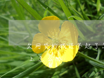 欠网贷的钱还不起了怎么办(欠网贷的钱还不上怎么办)