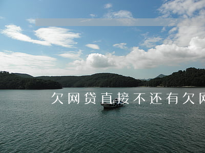 欠网贷直接不还(有欠网贷不还的吗)